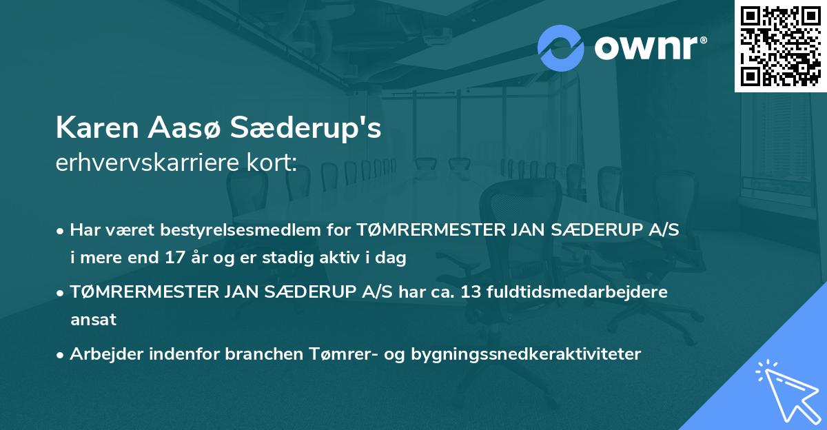 Karen Aasø Sæderup's erhvervskarriere kort