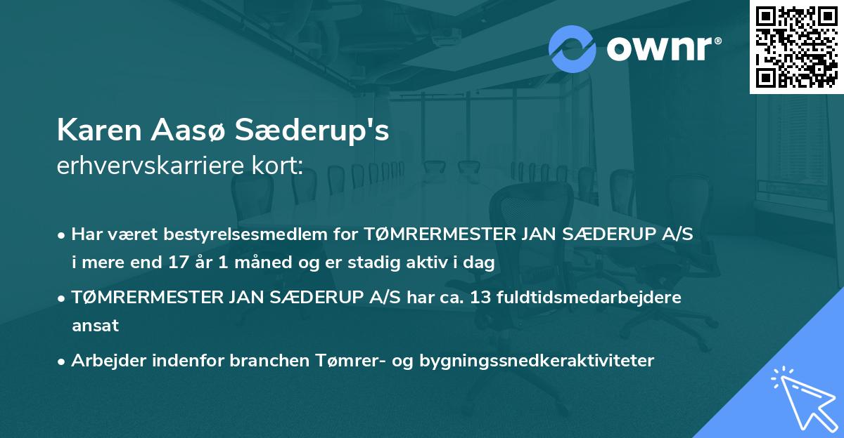Karen Aasø Sæderup's erhvervskarriere kort