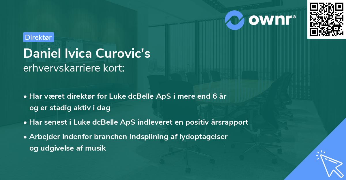 Daniel Ivica Curovic's erhvervskarriere kort