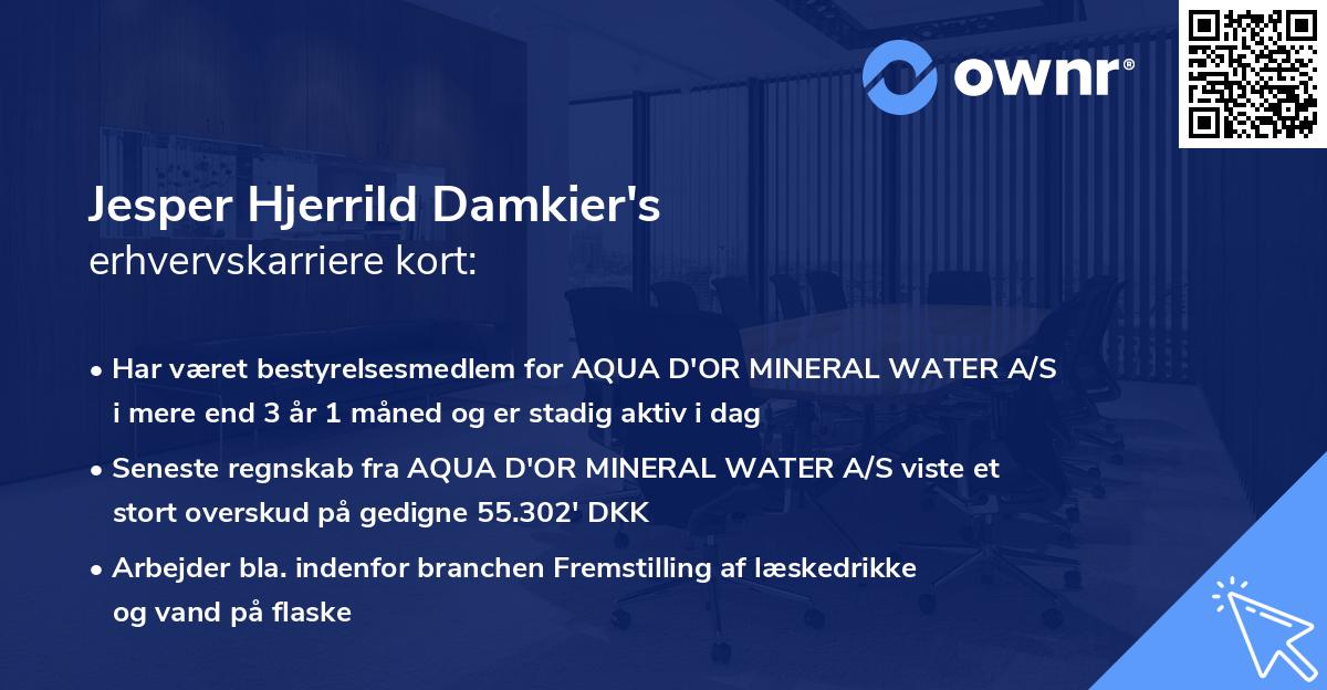 Jesper Hjerrild Damkier's erhvervskarriere kort