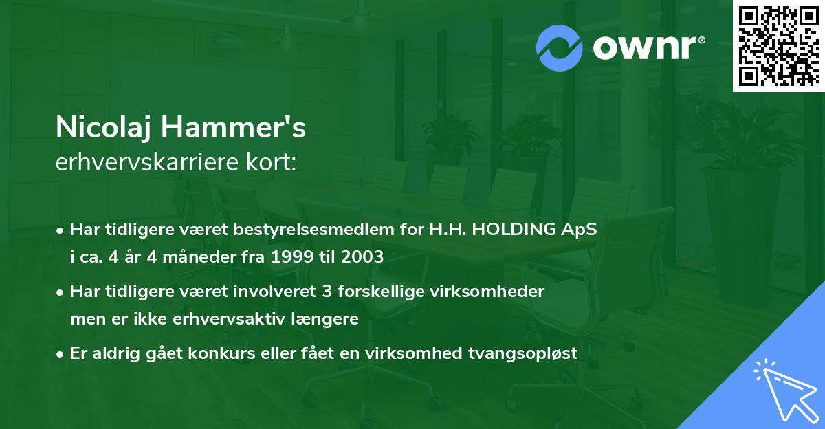 Nicolaj Hammer's erhvervskarriere kort
