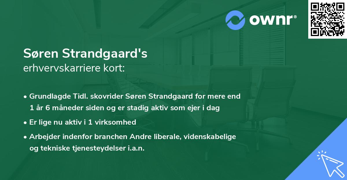 Søren Strandgaard's erhvervskarriere kort