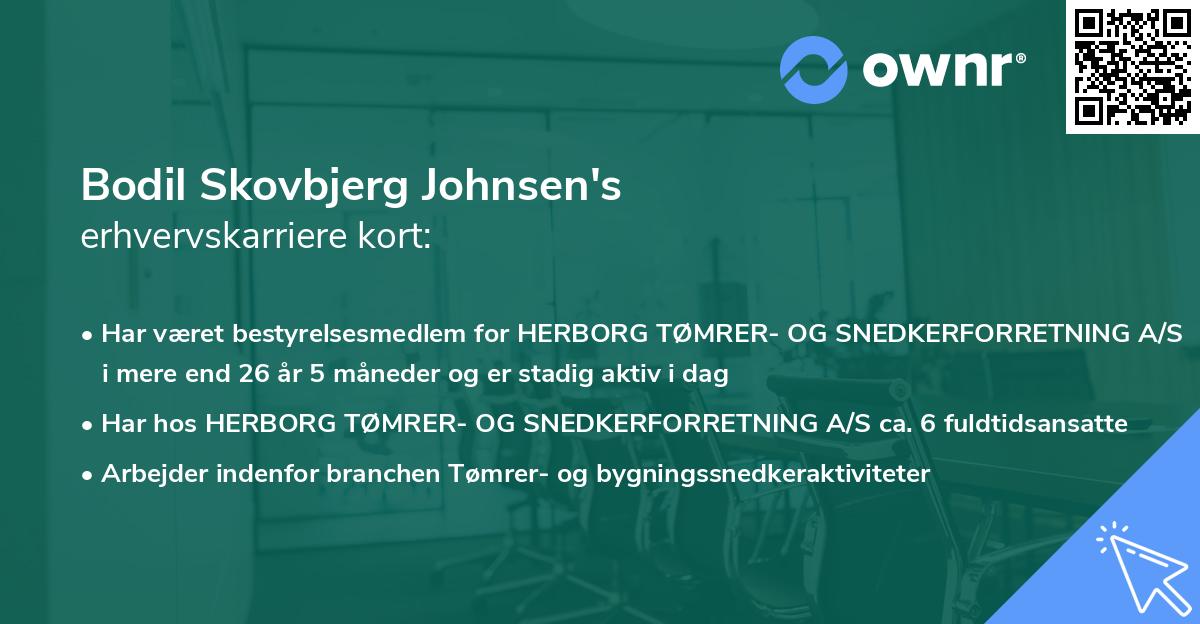 Bodil Skovbjerg Johnsen's erhvervskarriere kort