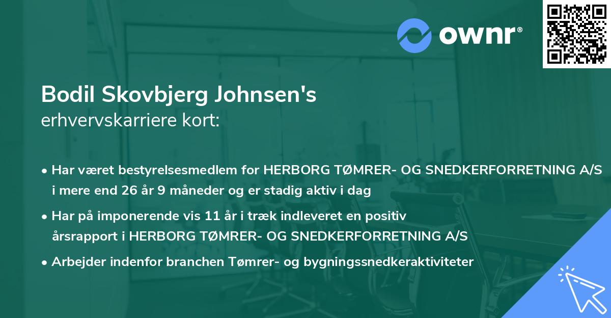 Bodil Skovbjerg Johnsen's erhvervskarriere kort