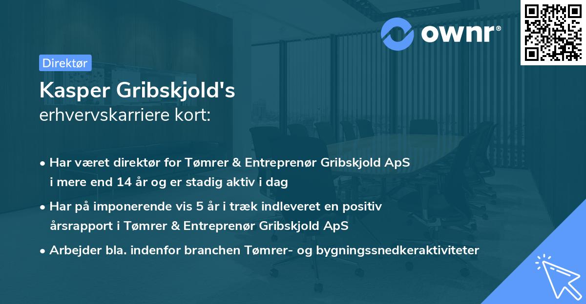 Kasper Gribskjold's erhvervskarriere kort