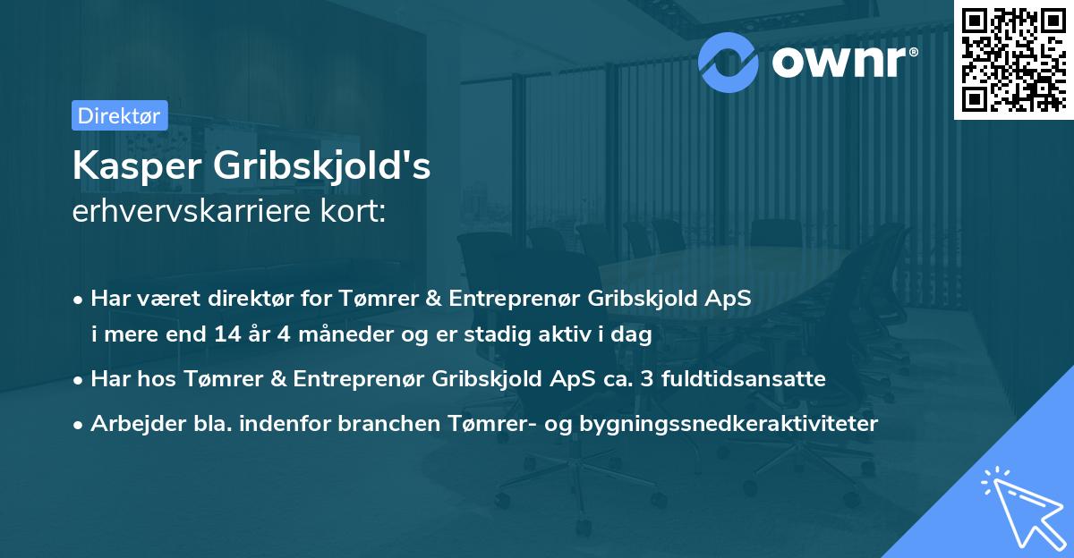 Kasper Gribskjold's erhvervskarriere kort