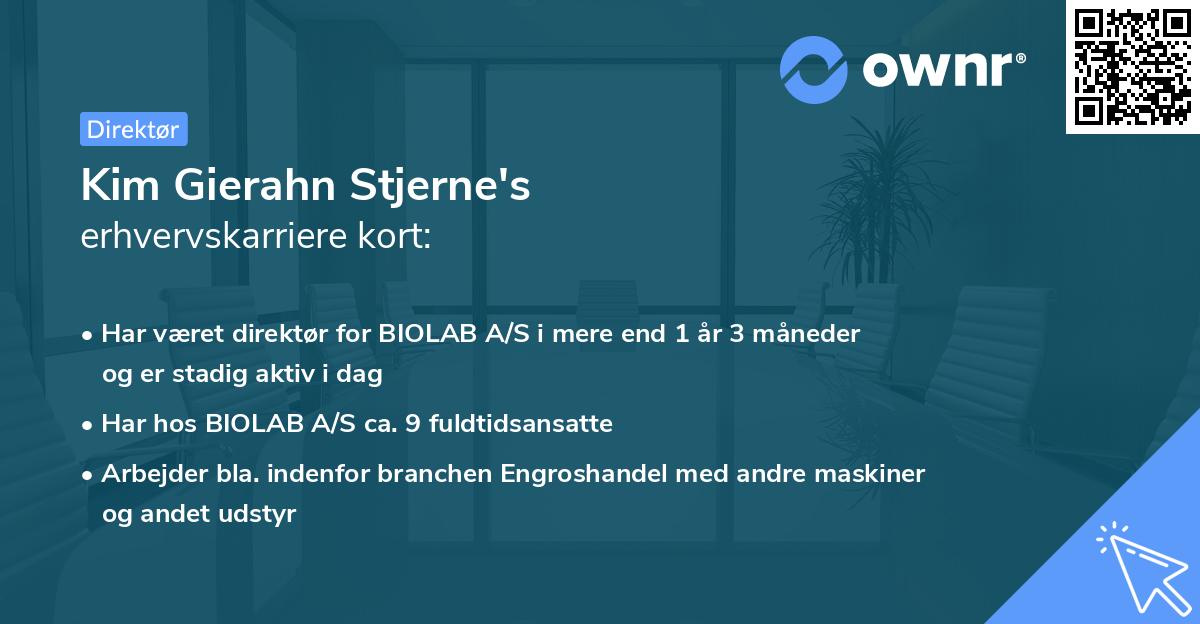 Kim Gierahn Stjerne's erhvervskarriere kort