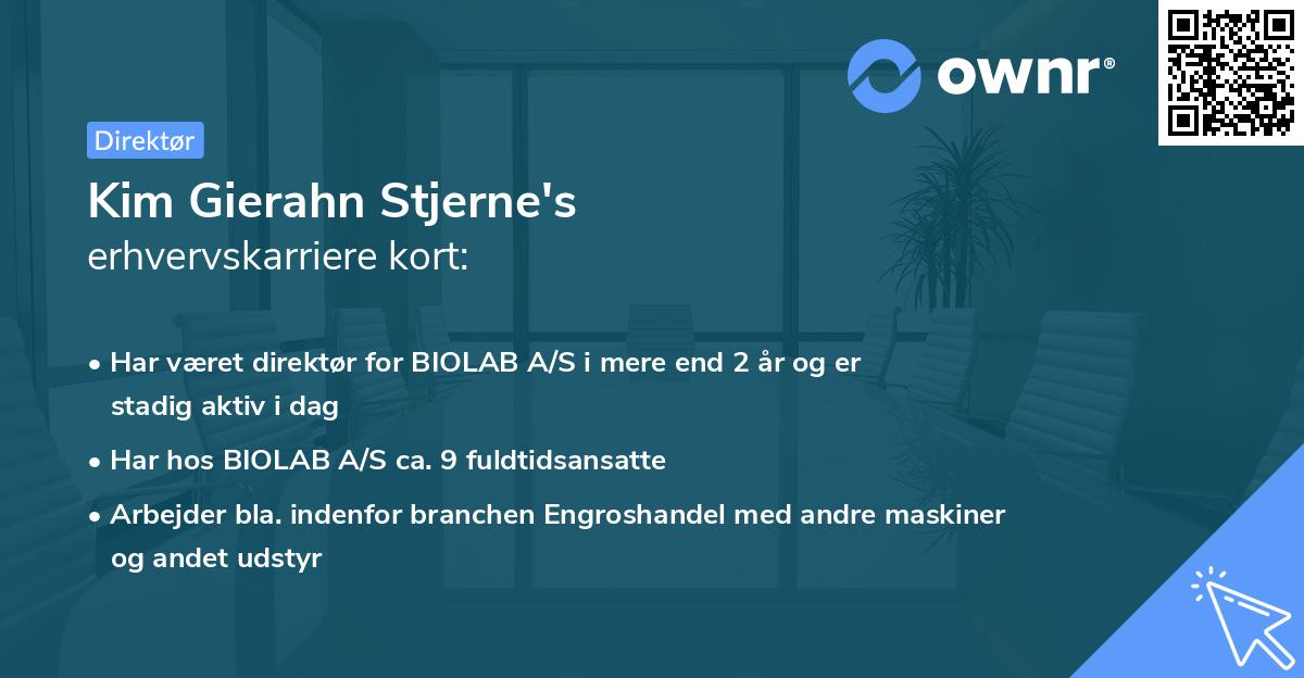 Kim Gierahn Stjerne's erhvervskarriere kort