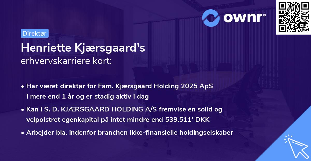 Henriette Kjærsgaard's erhvervskarriere kort