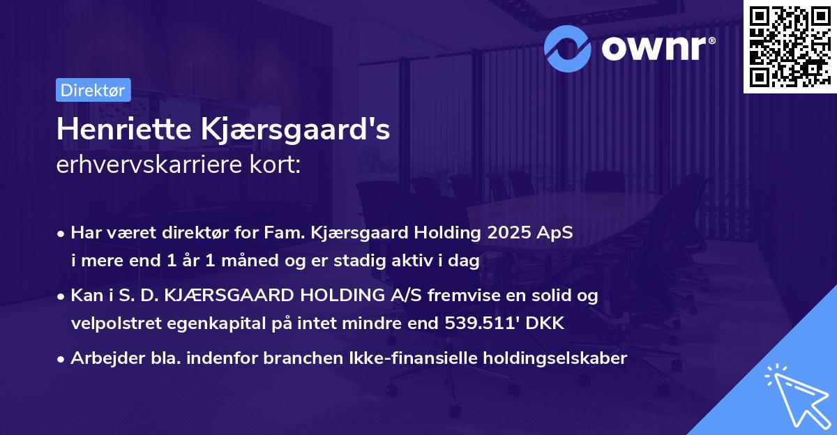 Henriette Kjærsgaard's erhvervskarriere kort