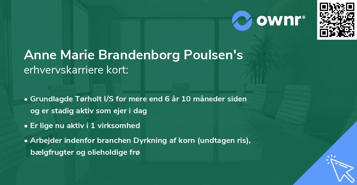 Anne Marie Brandenborg Poulsen's erhvervskarriere kort