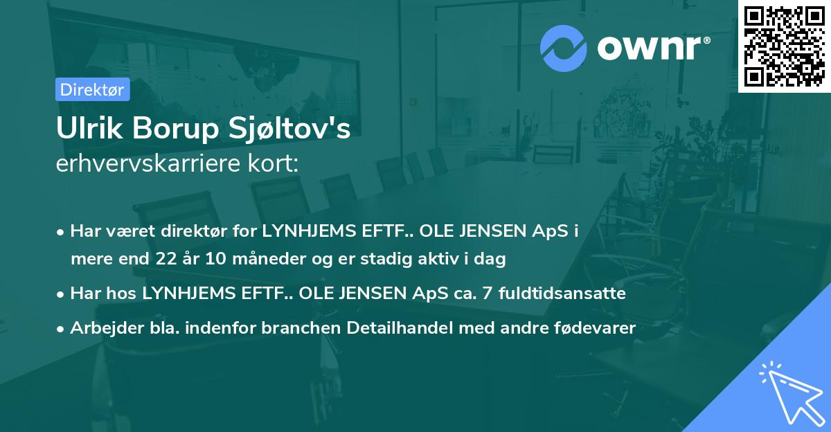 Ulrik Borup Sjøltov's erhvervskarriere kort