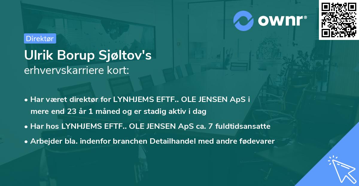 Ulrik Borup Sjøltov's erhvervskarriere kort