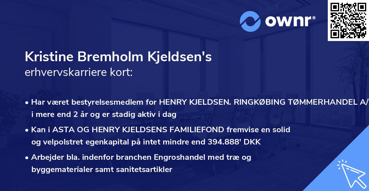 Kristine Bremholm Kjeldsen's erhvervskarriere kort