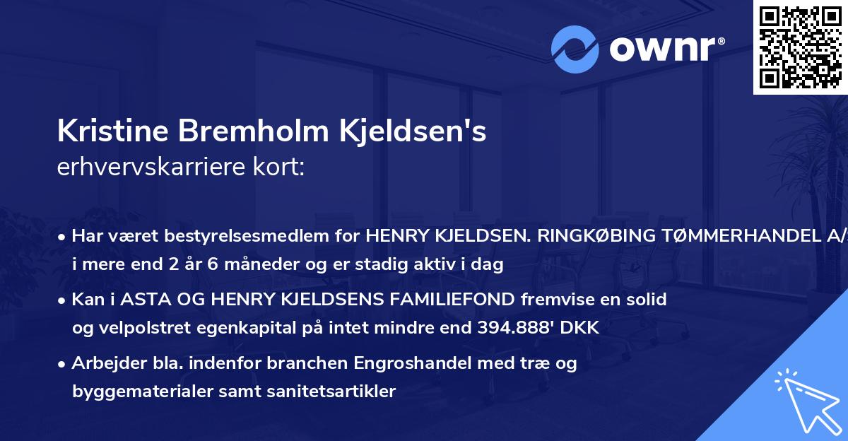 Kristine Bremholm Kjeldsen's erhvervskarriere kort