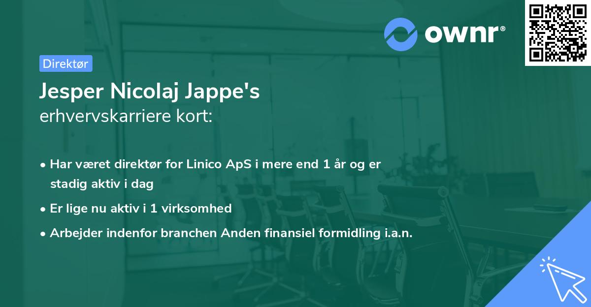 Jesper Nicolaj Jappe's erhvervskarriere kort