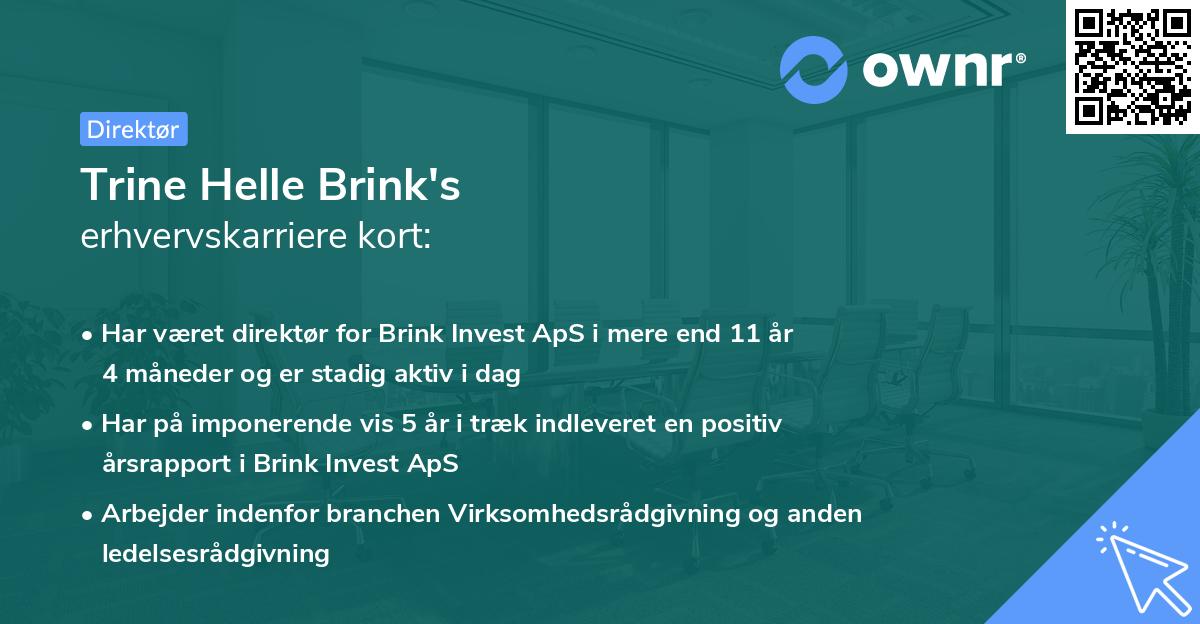 Trine Helle Brink's erhvervskarriere kort
