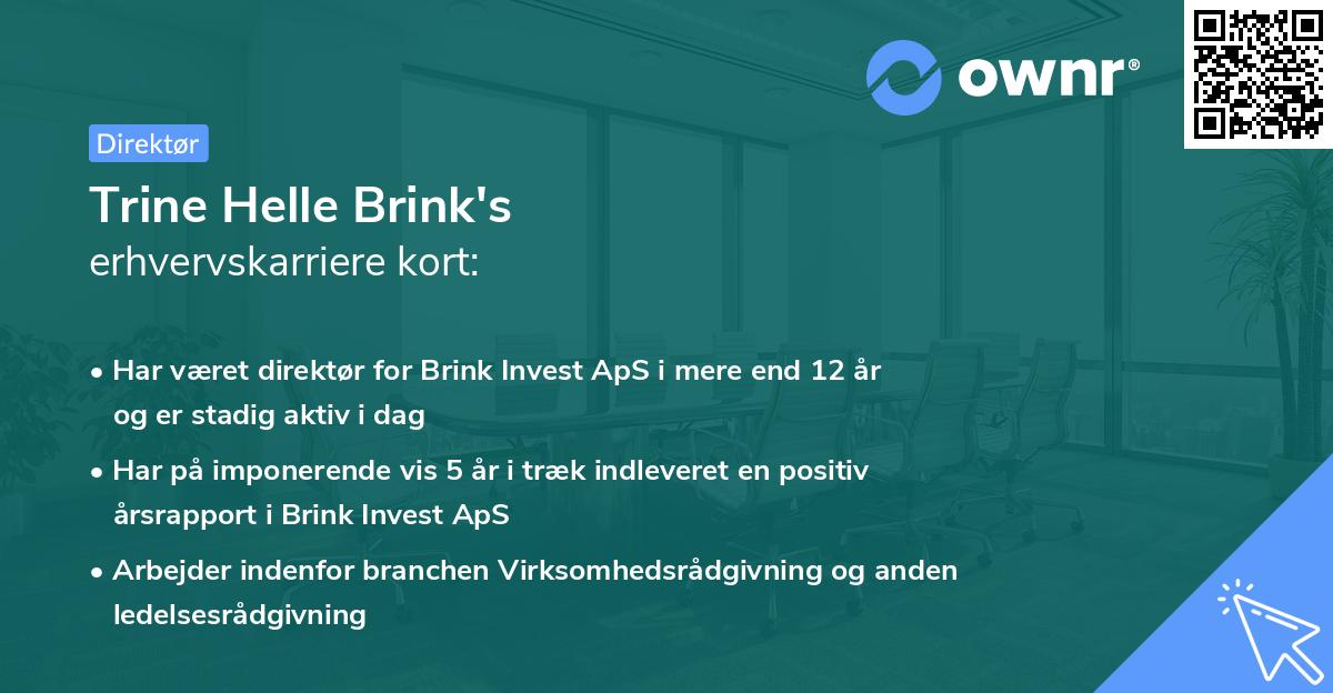 Trine Helle Brink's erhvervskarriere kort