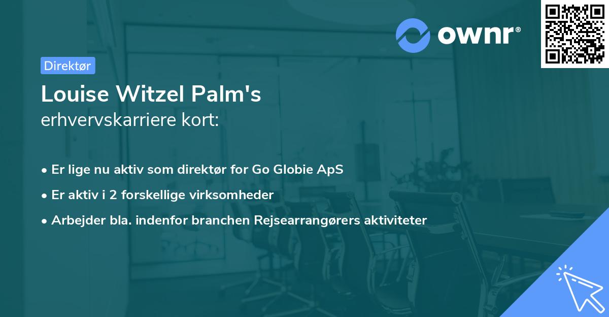 Louise Witzel Palm's erhvervskarriere kort
