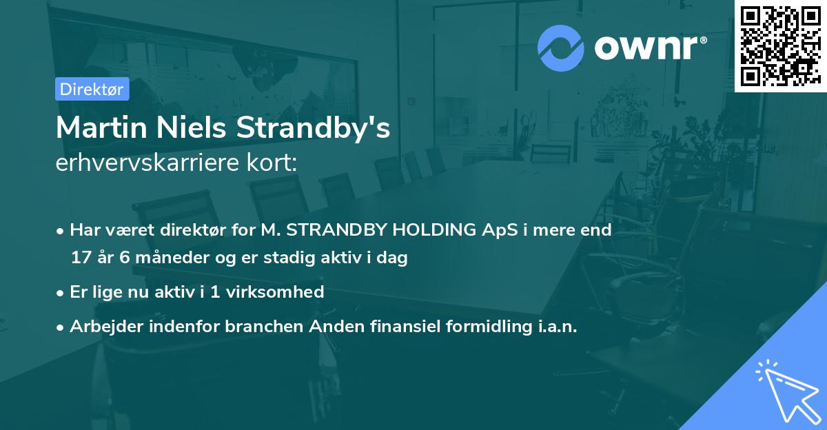 Martin Niels Strandby's erhvervskarriere kort