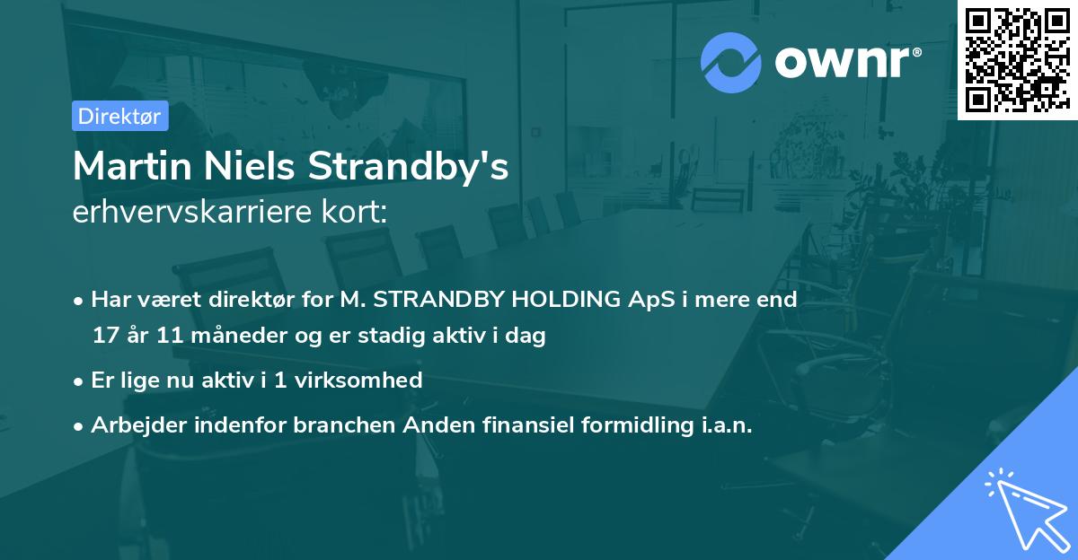 Martin Niels Strandby's erhvervskarriere kort