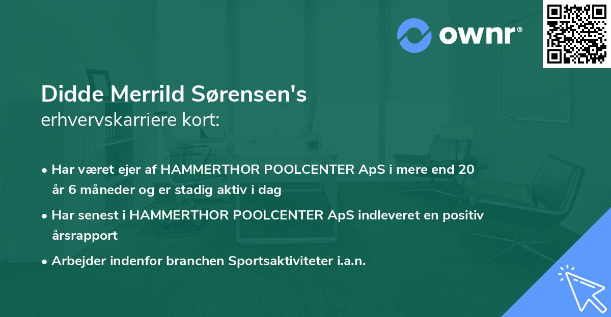 Didde Merrild Sørensen's erhvervskarriere kort