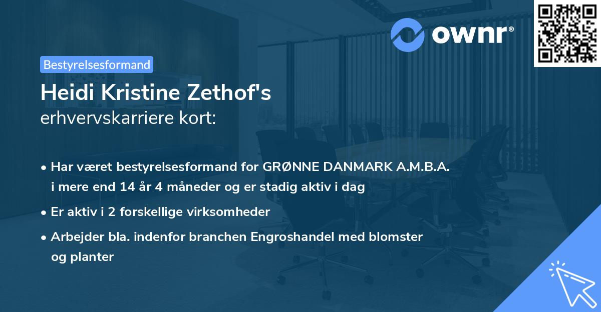 Heidi Kristine Zethof's erhvervskarriere kort