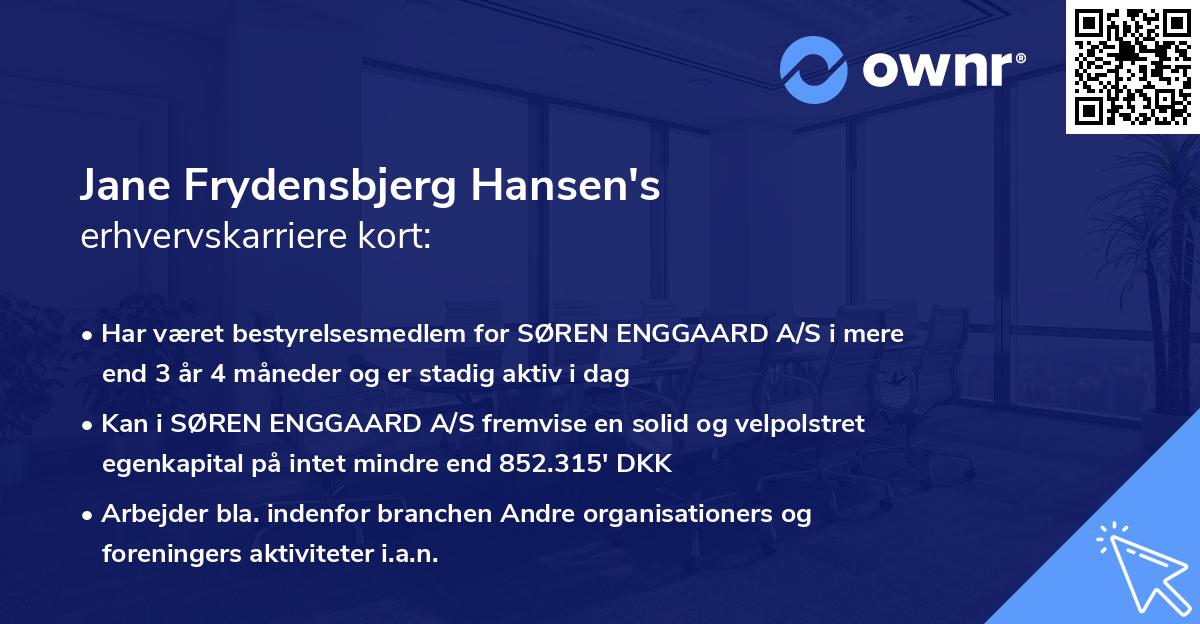 Jane Frydensbjerg Hansen's erhvervskarriere kort