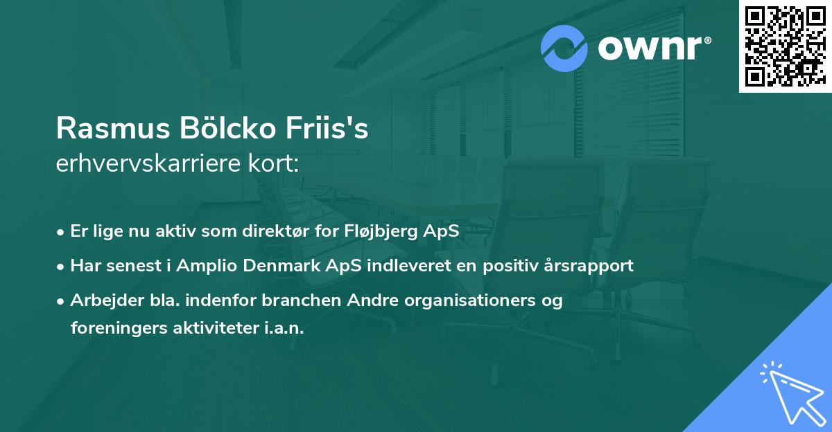 Rasmus Bölcko Friis's erhvervskarriere kort