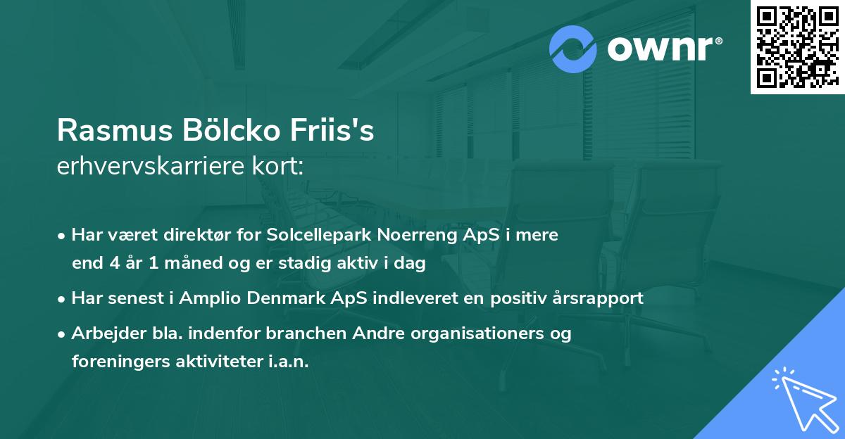 Rasmus Bölcko Friis's erhvervskarriere kort