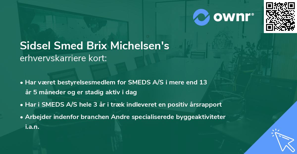 Sidsel Smed Brix Michelsen's erhvervskarriere kort