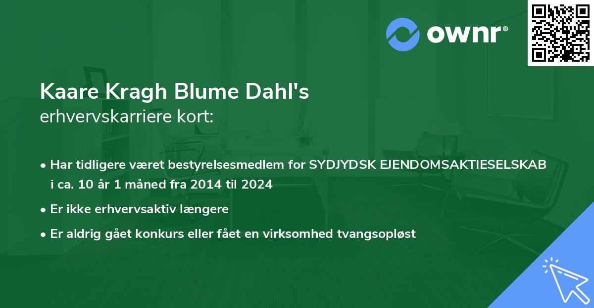 Kaare Kragh Blume Dahl's erhvervskarriere kort