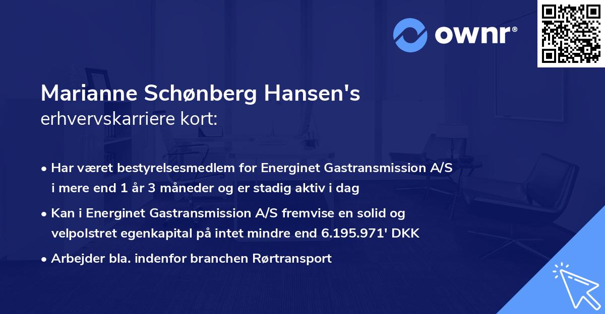 Marianne Schønberg Hansen's erhvervskarriere kort