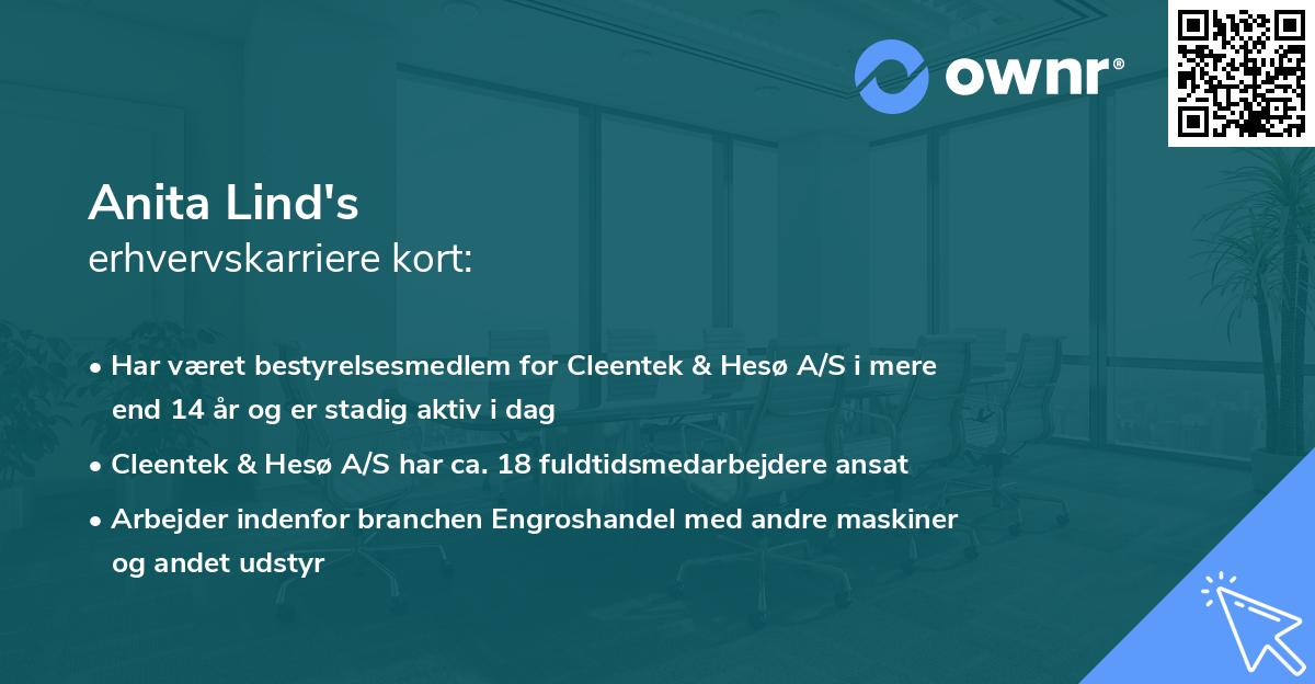 Anita Lind's erhvervskarriere kort