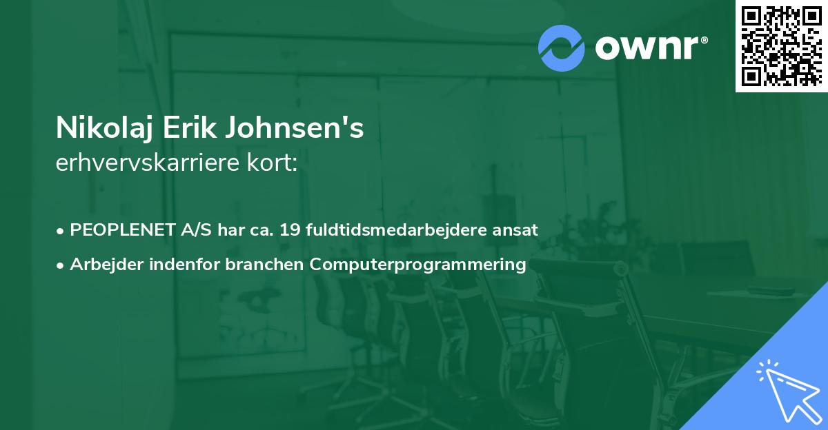 Nikolaj Erik Johnsen's erhvervskarriere kort