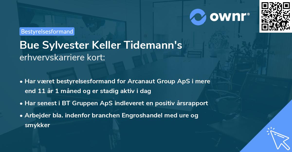Bue Sylvester Keller Tidemann's erhvervskarriere kort