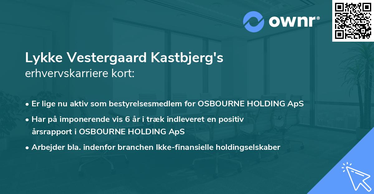 Lykke Vestergaard Kastbjerg's erhvervskarriere kort