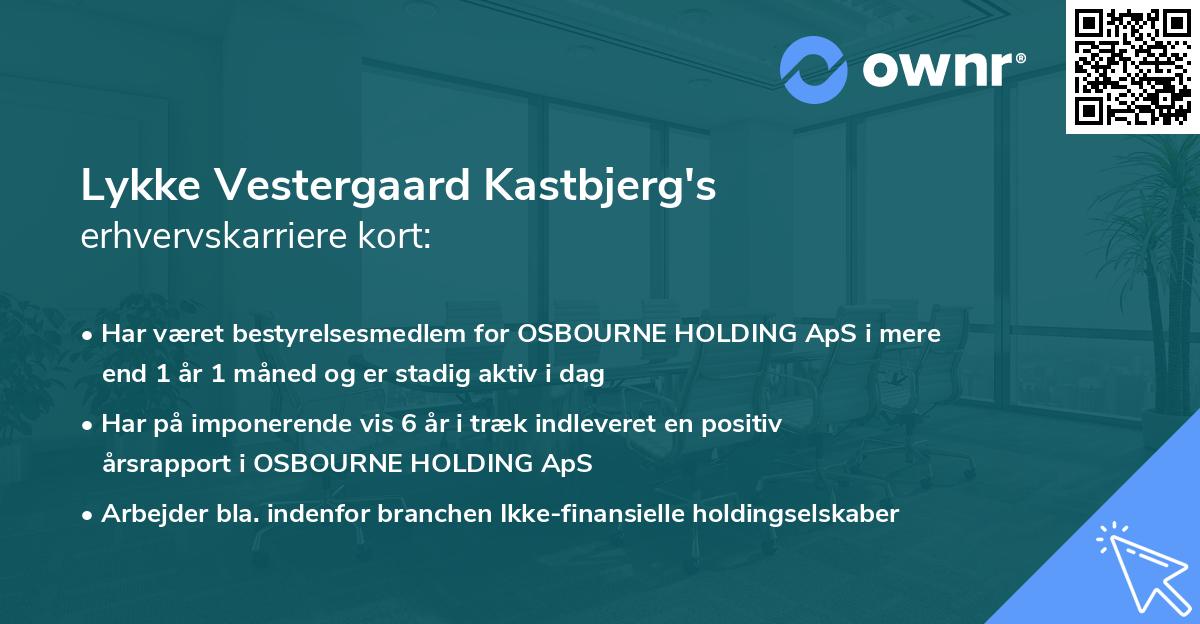 Lykke Vestergaard Kastbjerg's erhvervskarriere kort