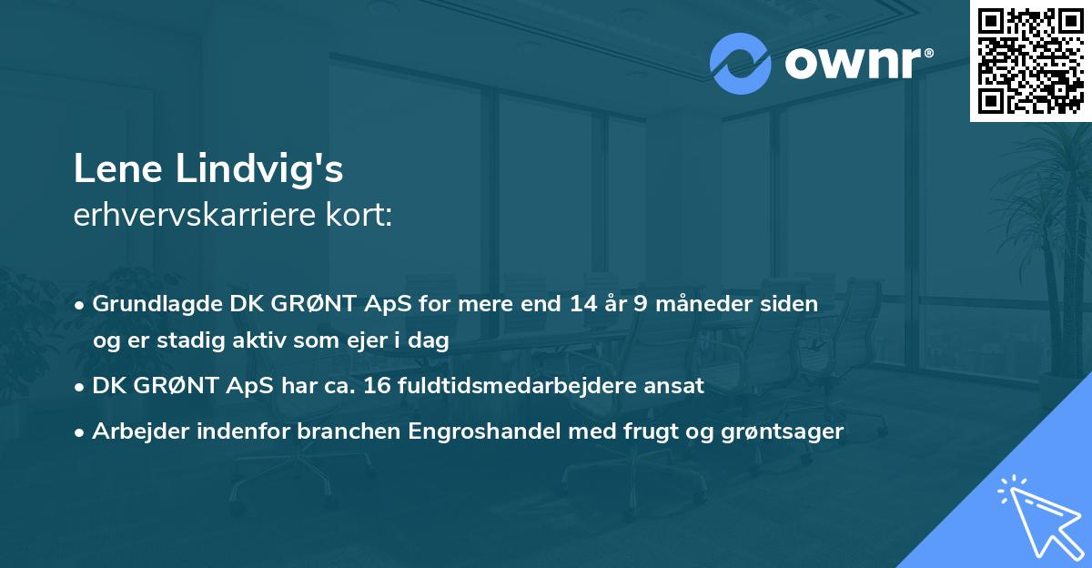 Lene Lindvig's erhvervskarriere kort