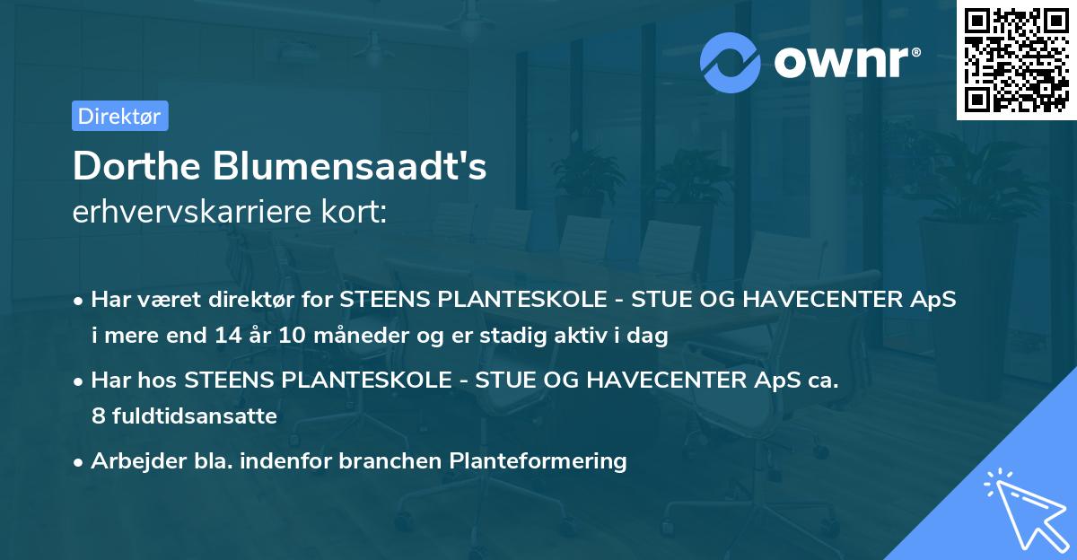 Dorthe Blumensaadt's erhvervskarriere kort