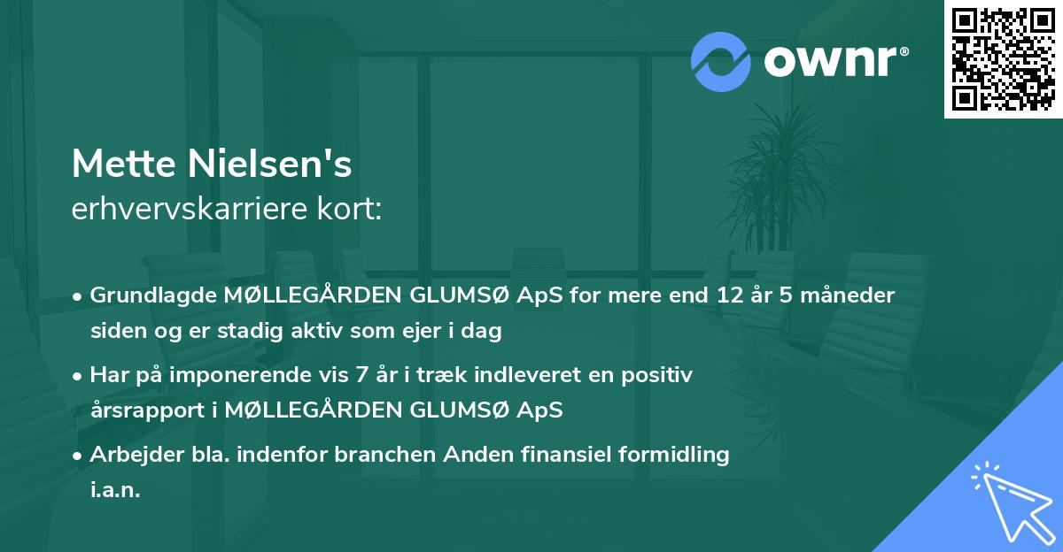 Mette Nielsen's erhvervskarriere kort