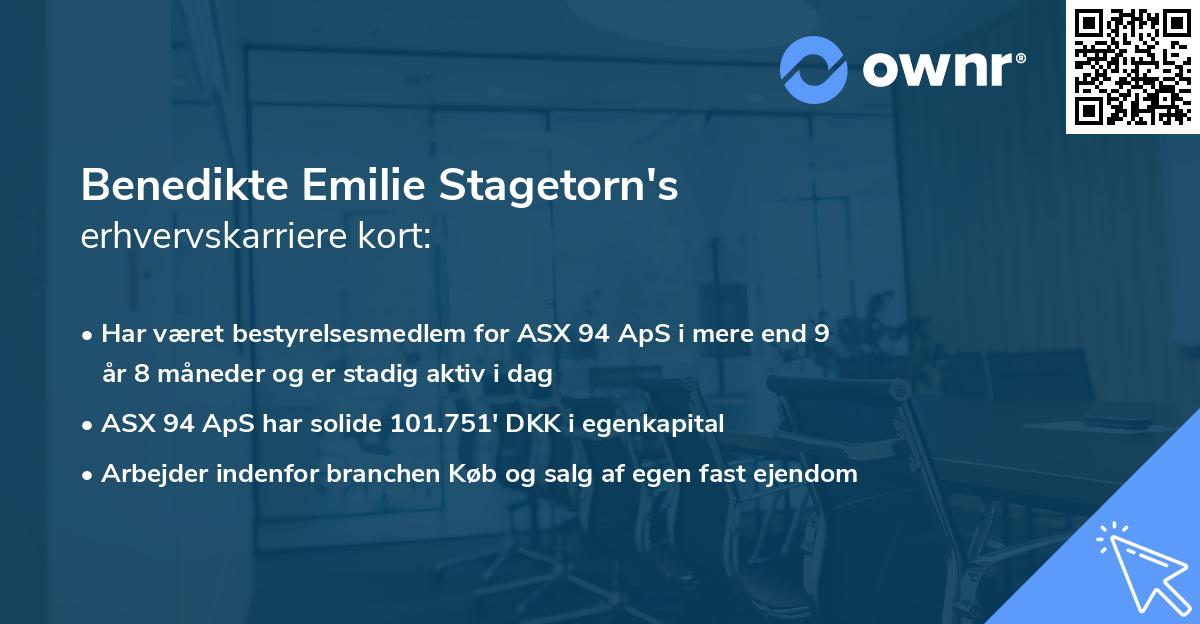 Benedikte Emilie Stagetorn's erhvervskarriere kort