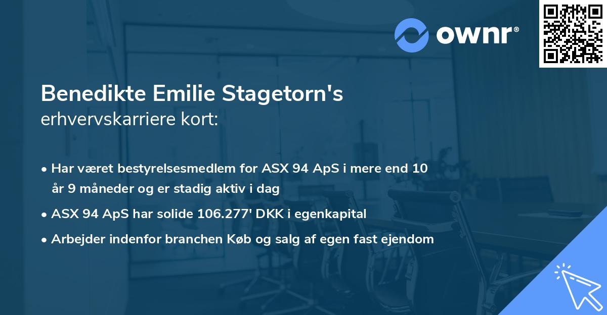 Benedikte Emilie Stagetorn's erhvervskarriere kort