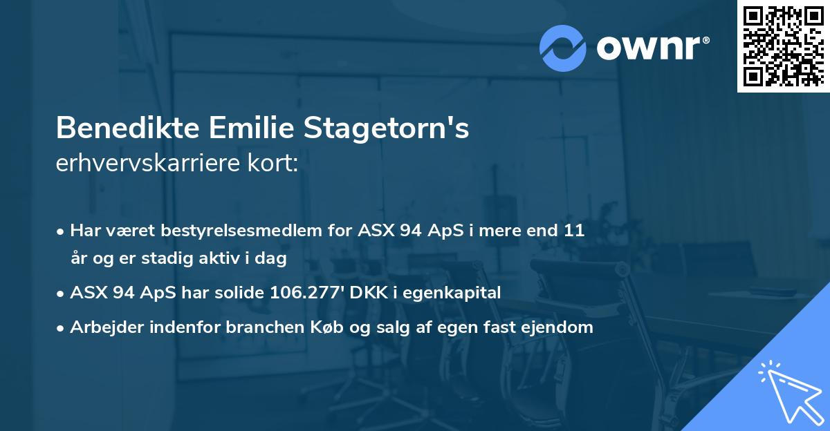 Benedikte Emilie Stagetorn's erhvervskarriere kort