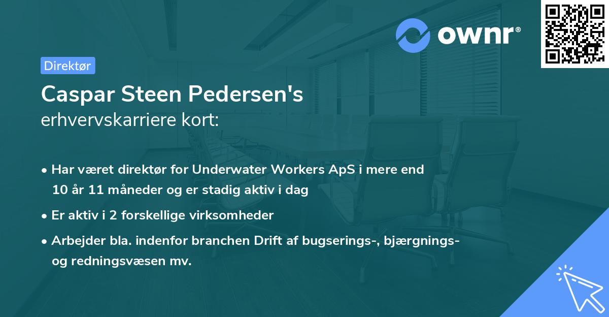 Caspar Steen Pedersen's erhvervskarriere kort