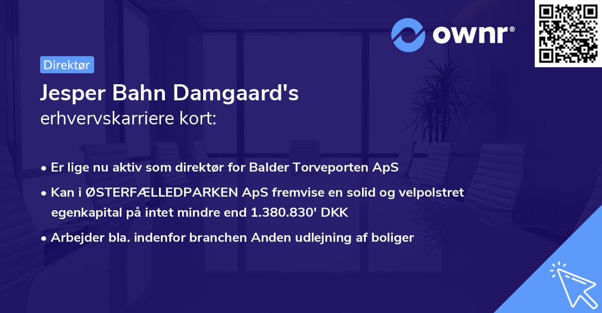 Jesper Bahn Damgaard's erhvervskarriere kort