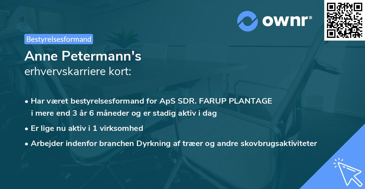 Anne Petermann's erhvervskarriere kort