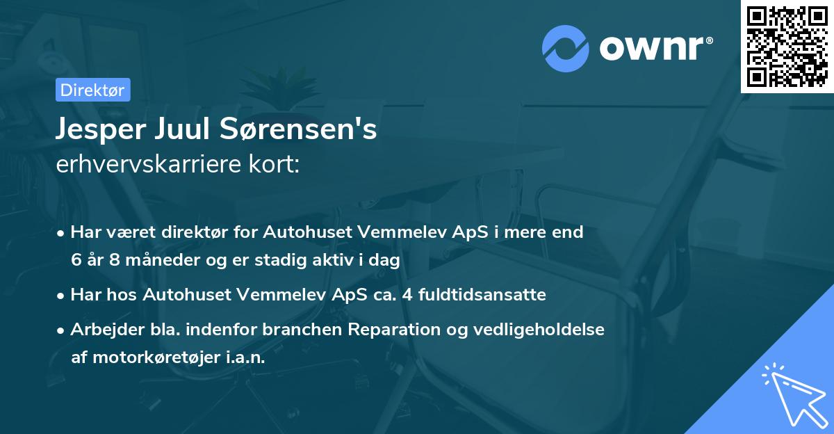 Jesper Juul Sørensen's erhvervskarriere kort