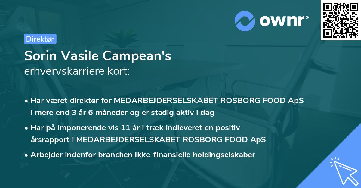 Sorin Vasile Campean's erhvervskarriere kort