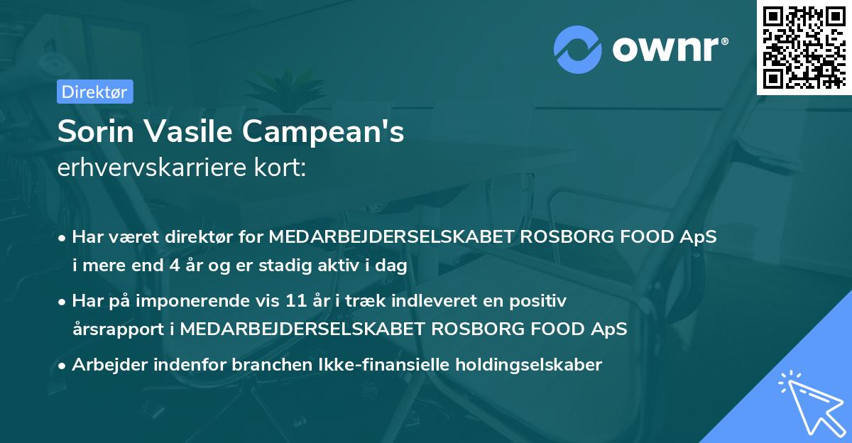 Sorin Vasile Campean's erhvervskarriere kort